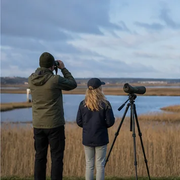 Redaktionell illustration till Fågelskådning på Öland