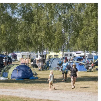 Redaktionell illustration till Lundegård camping på Öland