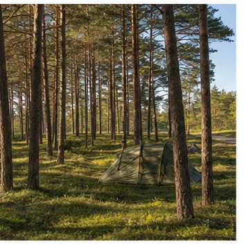 Redaktionell illustration till Camping på norra Öland