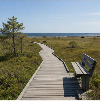Redaktionell illustration till Tillgänglighet på Öland