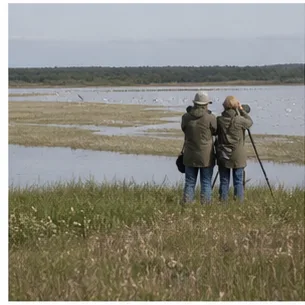 Redaktionell illustration till Ottenby på Öland