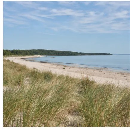 Redaktionell illustration till Lyckesand på Öland