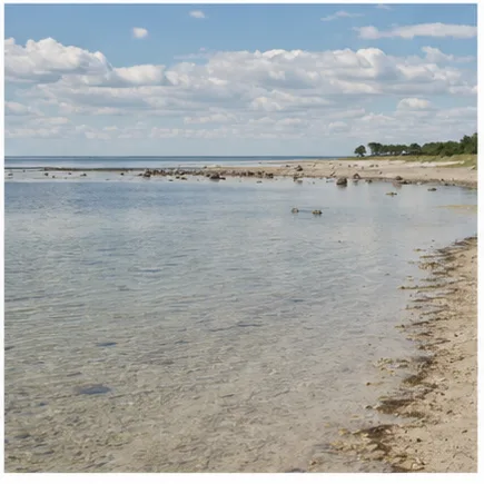 Redaktionell illustration till Stränder på södra Öland